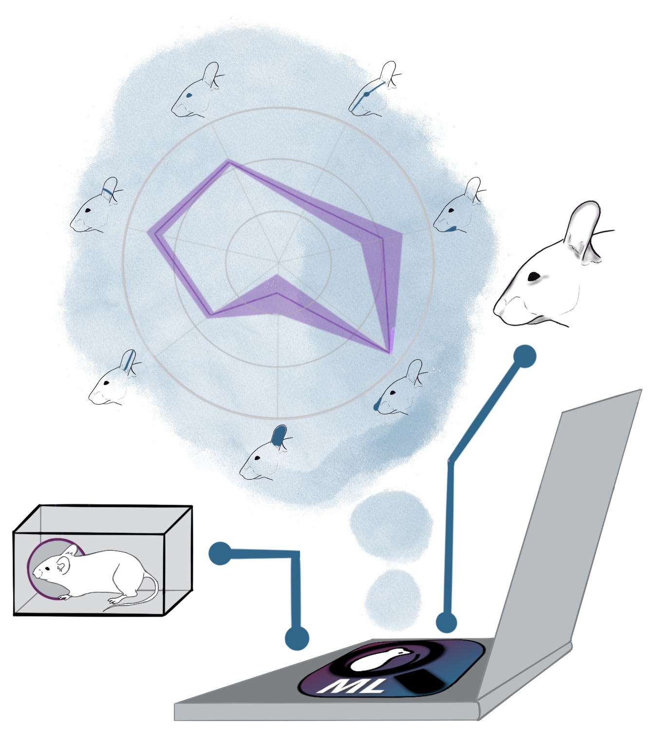 MouseLab analysis workflow illustration