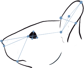 Mouse facial tracking points